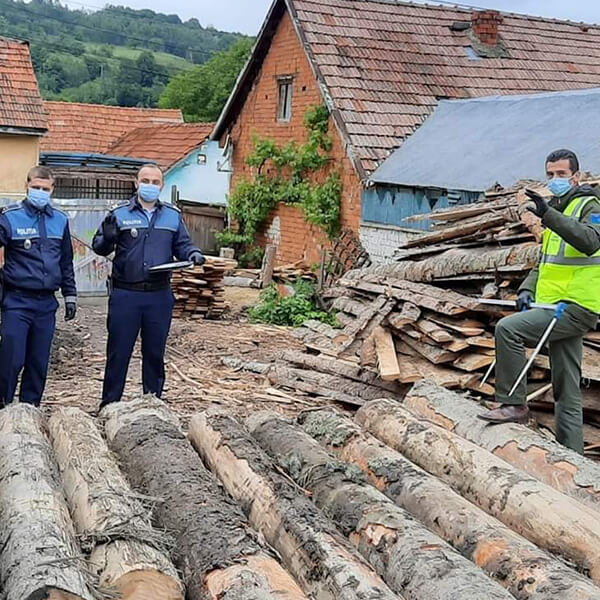 Aproape 100 de dosare penale pentru infracțiuni legate de tăierea și transportul de lemne, deschise într-o săptămână