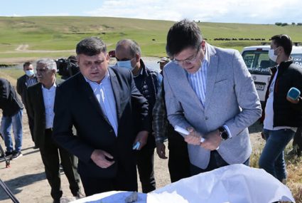 Împădurirea terenurilor degradate