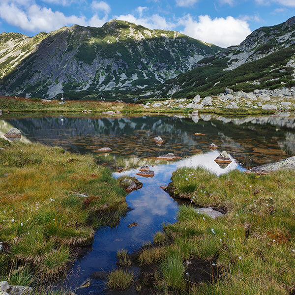 Costel Alexe: ‘La 1 august, cel târziu, lansăm o finanţare cu fonduri europene, de 200 milioane euro, pentru siturile Natura 2000’