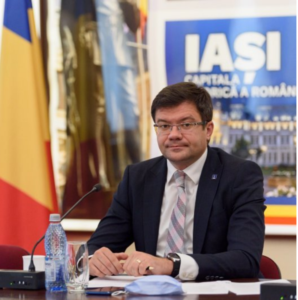Dosar penal chiar și pentru un copac furat