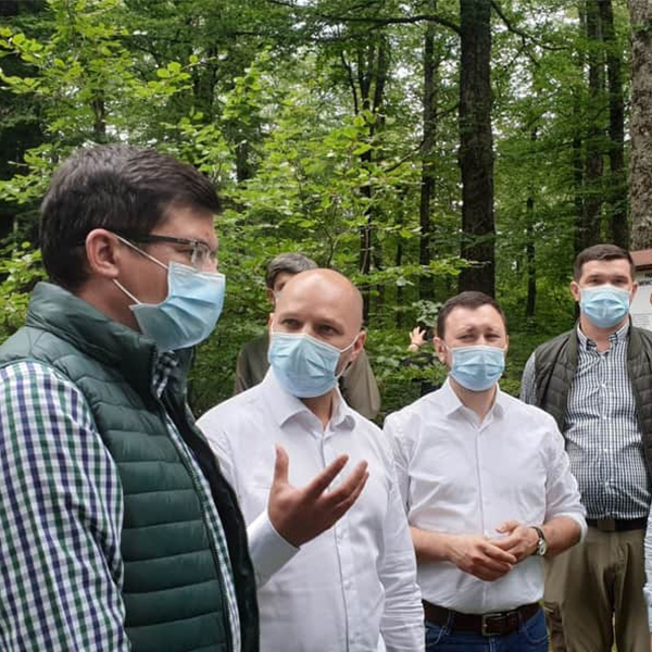 Oprim tăierile ilegale din pădurile României